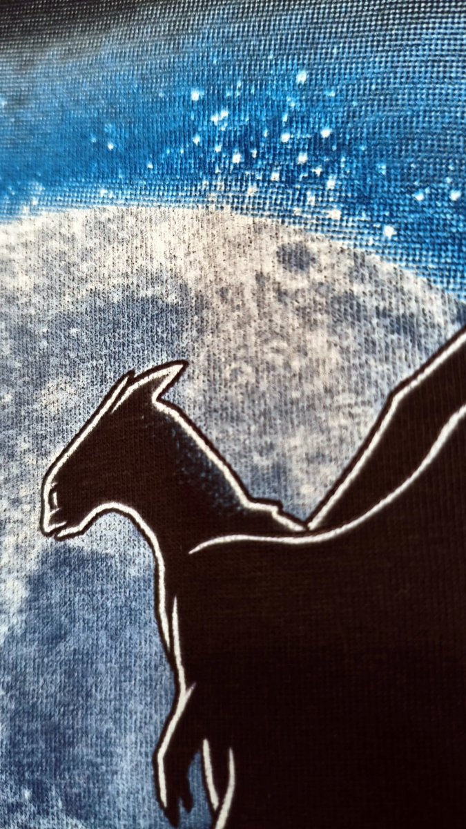 Camiseta Moon Dragons Outlet - El Cajón Friki
