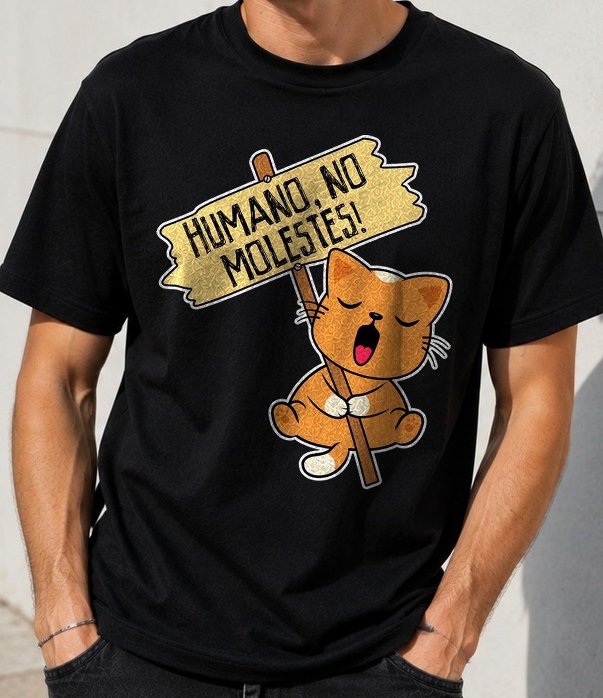 Camiseta No Molestes – Regalo para amantes de los gatos (negra)